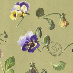 Drawing, Design for Wallpaper and Textiles: Flowers, 19th century