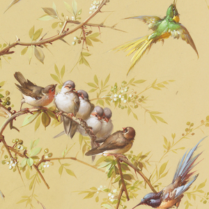 Drawing, Design for Wallpaper and Textile: Flowers and Birds, 19th century