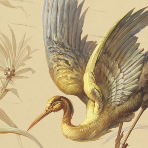 Drawing, Design for Wallpaper and Textile: Flowers and Birds, 19th century