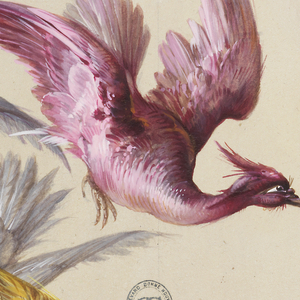Drawing, Designs for Wallpaper and Textiles: Birds, 19th century