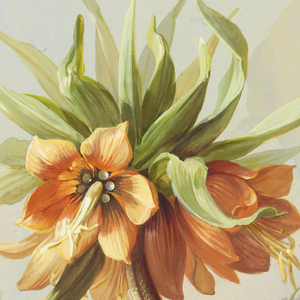 Drawing, Design for Wallpaper and Textiles: Flowers, 19th century