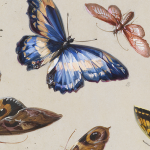 Drawing, Design for Textile or Wallpaper: Butterflies, 19th century
