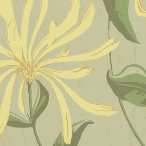 Sidewall, Honeysuckle, 1938–40