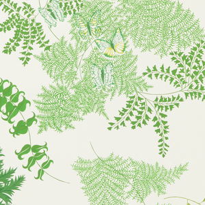 Sidewall, Fernery, 1967–69