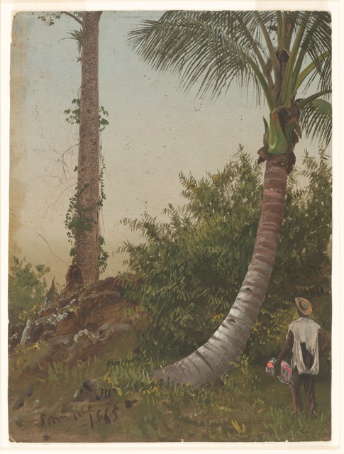 Drawing, Coconut Palm with Figure, Jamaica