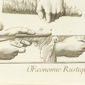 Engraving, Plate II of "Travail et emploi du coton" from Diderot