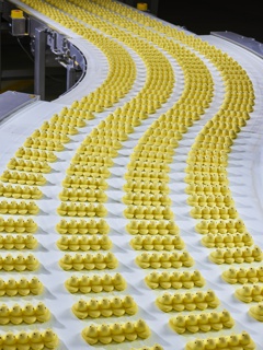Photograph, PEEPS Marshmallow Chicks cooling on a conveyor belt before being packaged