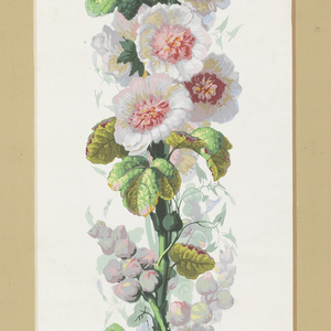Border (France), 1835–1900