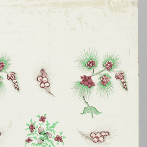 Sidewall (France), 1830–50