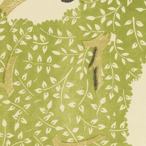 Sidewall, Woodpigeon, 1927