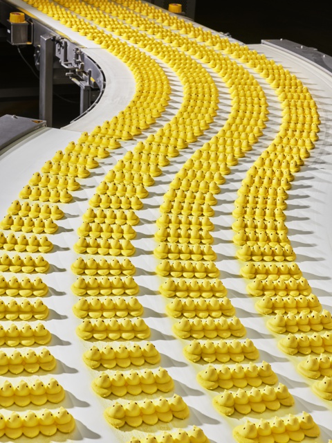 Photograph, PEEPS Marshmallow Chicks cooling on a conveyor belt before being packaged