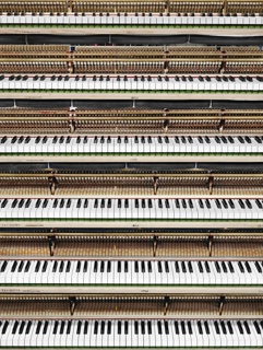 Photograph, Piano keyboards ready for polishing