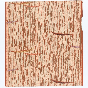 Sidewall, Yvonne, 1950–56