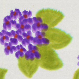 Sidewall, Violets, 1959–65