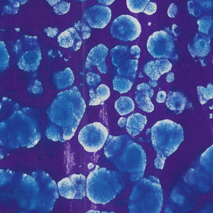 Sidewall (USA), 1959–65