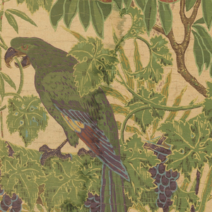 Sidewall, Macaw, 1908