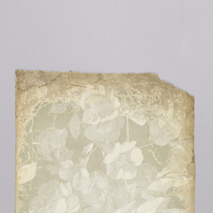 Sidewall, 1860–1900