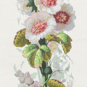 Sidewall (France), 1850–70