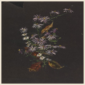 Drawing, Study: Autumn Bouquet, ca. 1890