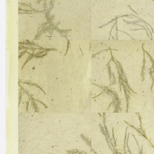 Sidewall, Botanical, 1998
