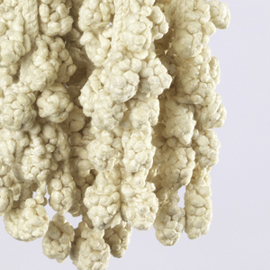 Tassel (Italy), 17th century