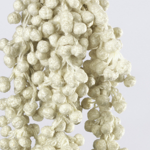 Tassel (Italy), 17th century