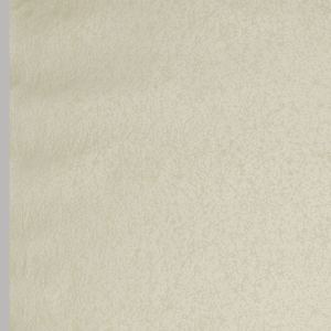 Sidewall (Japan), 1990–95
