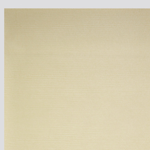 Sidewall (Japan), 1990–95