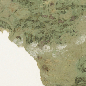 Sidewall (England), 1890–1910