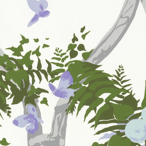 Border, Moonflowers, 1960–70