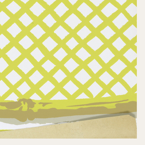 Sidewall, Czarina, 1960–70
