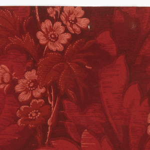Sidewall - Sample (USA), 1906–08