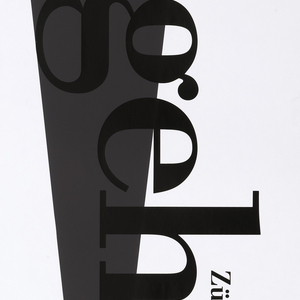 Poster, Werden und Vergehen, Regula Guhl, Mae Rose, Marie Nocker, Andy Goldsworthy, ca. 1992