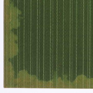 Sidewall - Sample (USA), 1906–07