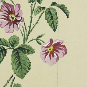 Drawing, Design for a printed fabric, 1820–40
