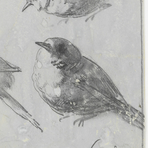 Drawing, late 19th century