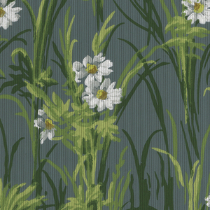 Sidewall (USA), 1890–1920