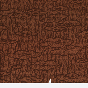 Sidewall (USA), 1900–25