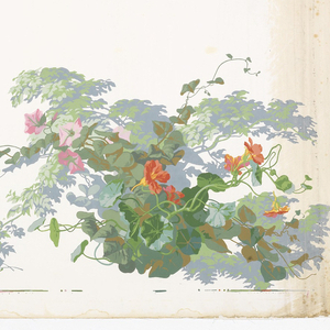 Border, Jardin d