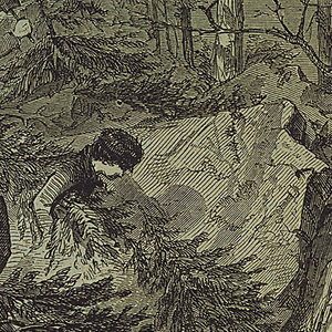 Print, Christmas - Gathering Evergreens, Harper