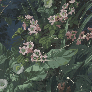 Sidewall, 1900–25