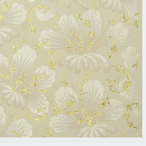 Sidewall (USA), 1895–1903