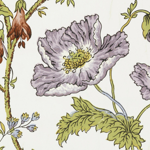 Sidewall, 1880–1900