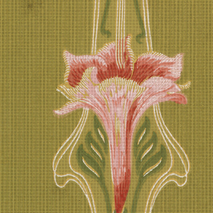 Sidewall - Sample (USA), 1906–08