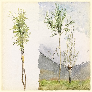 Drawing, Landscape Sketches, ca. 1900