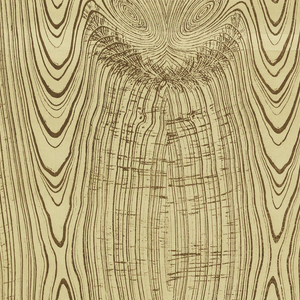 Sidewall (possibly USA), ca. 1890