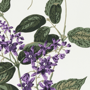 Sidewall (England), 1835–45