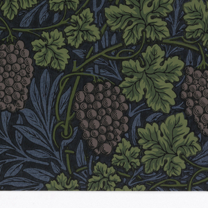 Sidewall, Vine, 1873