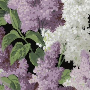 Sidewall, Lilac Time, 1949