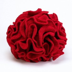 Model Of Hyperbolic Space (USA), 2011